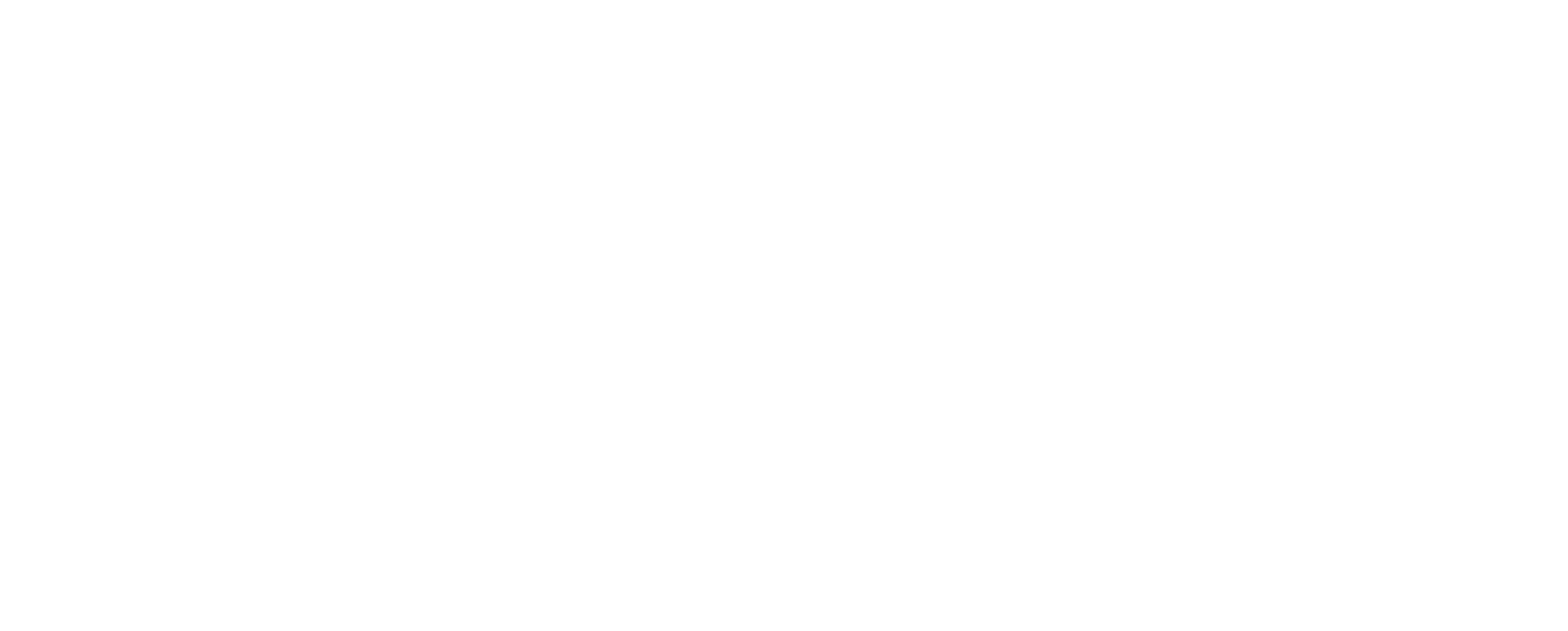 Solvefins Logo